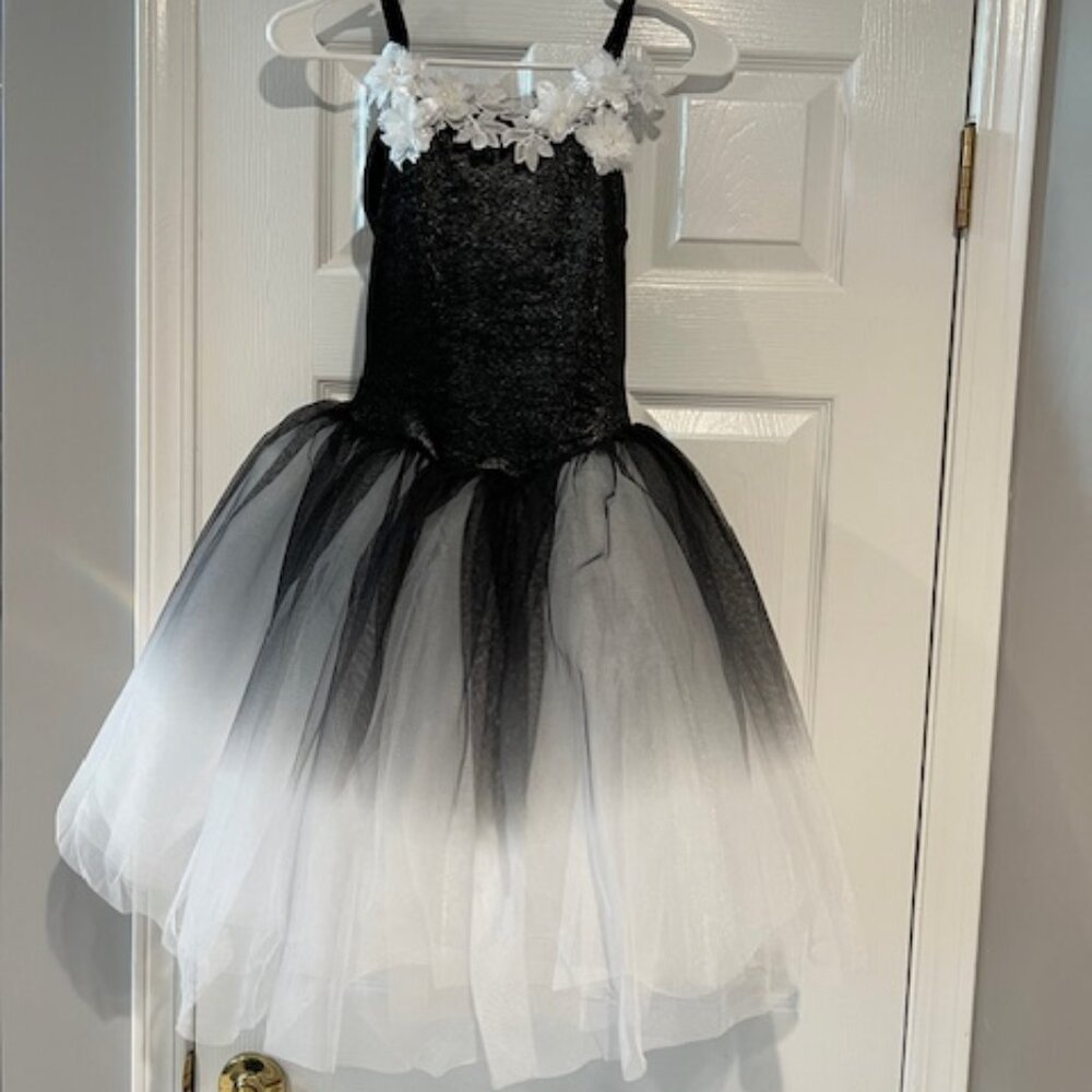 Ballet or Lyrical Dance Costume